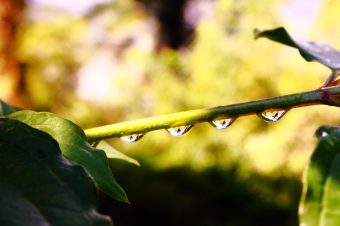 У себи заточени (одломци)