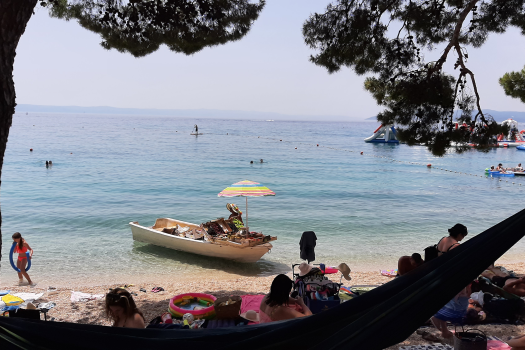 Повратак: Мирис бора